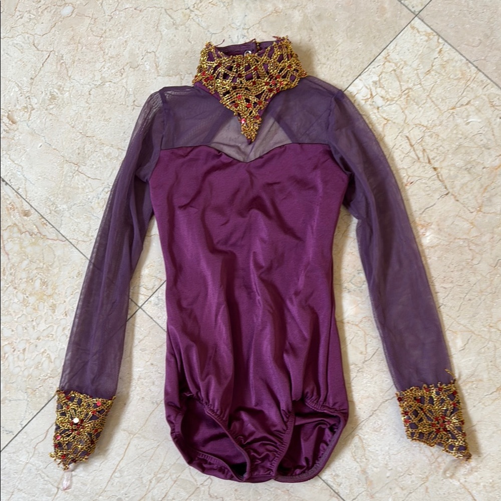 Purple Mesh Long Sleeve Dance Costume